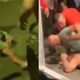 Illustration for article titled B.J. Penn Tells Shirtless Guy To Punch Him, Gets Knocked Out, Finds Guy Later To Jump And Punch Him